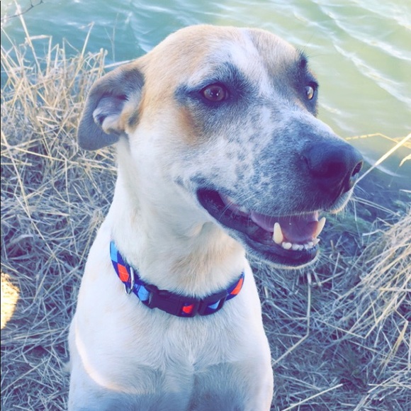 Meet your Posher, Matthew - Picture 1 of 1